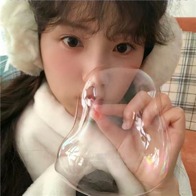 金毛喜迎冬
